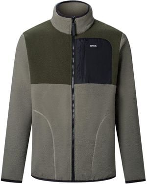 Regatta Frankie Borg Color Block Fleece - Gray