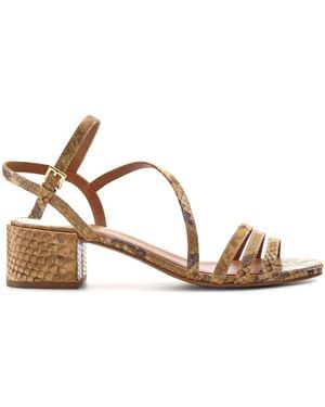 Jones Bootmaker Snake Print Standard Fit Ginette Leather Sandals - Multicolor