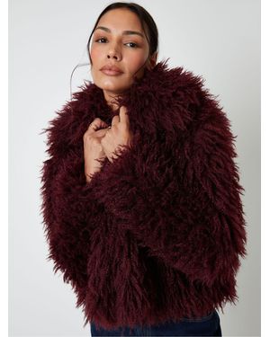 Threadbare Collared Faux Fur Coat