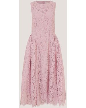 chinese dress ladies Rosetta Mini Dress ~ Pink Lovely Lace – Show Me Your Mumu main image 0