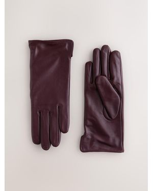 Next Leather Gloves - Purple