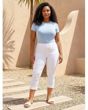 Roman Cropped Stretch Pants - Blue