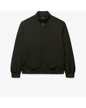 Superdry Campus Padded Harrington Jacket - Black