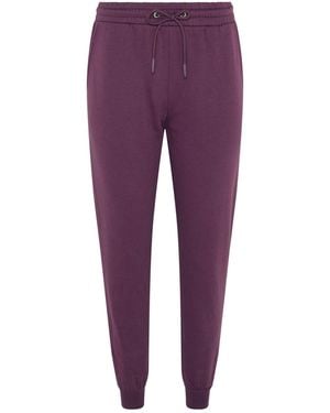 M Com Petite Cuffed Sweatpants - Purple