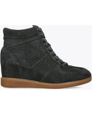 Dolce Vita Dark Irlah Suede Trainers - Black