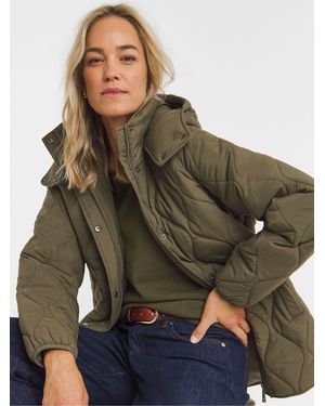 JD Williams Short Quilted Hooded Jacket - Brown