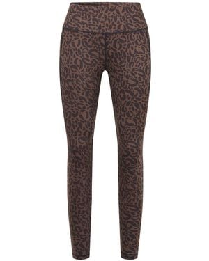 Dare 2b Influential Ii Legging - Gray