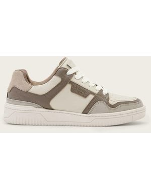 AllSaints Allsaints Regan Plus Low Top Sneakers - Natural