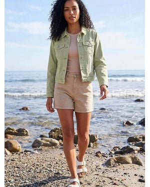 Roman Sage Classic Cotton Denim Jacket - Blue