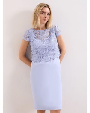 Phase Eight Daisy Dress - Blue