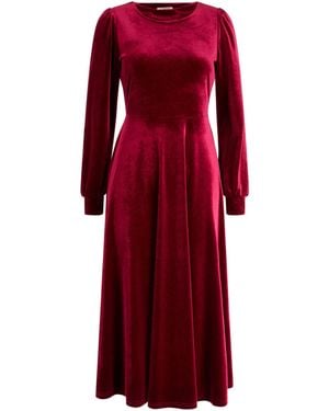 Joe Browns Stretchy Velvet Midi Dress - Red