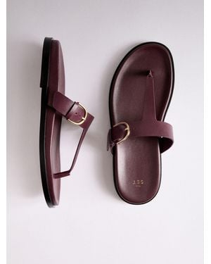The Set Premium Toe Thong Footbed Sandals Burgundy Leather - Purple