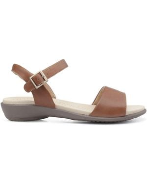 Hotter Standard Fit Tropic Buckle Metallic Sandals - Brown