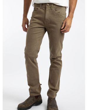 Weird Fish Teddy Straight Comfort Stretch Jeans - Gray