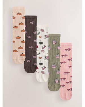 Next Autumn Conversational Ribbed Ankle Socks 5 Pack - Pink