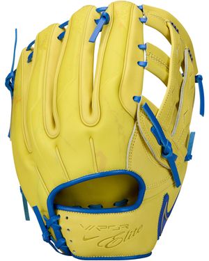Nike Vapor Elite "Ronald Acuã±A Jr. Fielding Glove - Metallic
