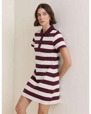 Nobody's Child Burgundy Striped Jersey Polo Collins Mini Dress - Pink