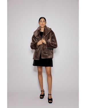 Nobody's Child Faux Fur Collared Jacket - Brown