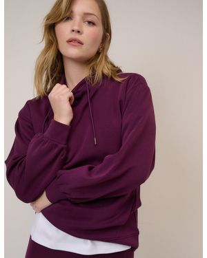 Nobody's Child Burgundy Scuba Hoodie - Purple