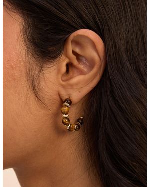 Nobody's Child Tigers Eye Plated Hoop Earrings - Metallic