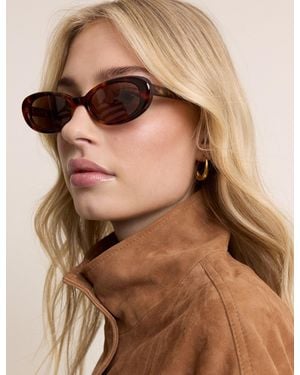 Nobody's Child Tortoiseshell Oval Halo Sunglasses - Brown