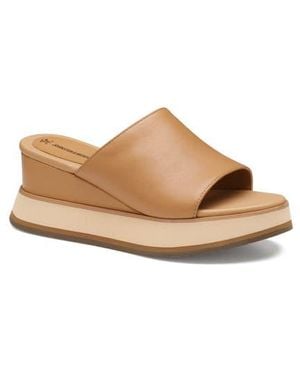 Johnston & Murphy Colleen Platform Wedge Slide Sandal - Multicolor