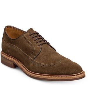 Allen Edmonds Winston Wingtip Brogue Derby - Brown