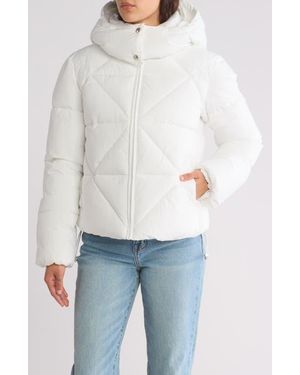 Sam Edelman Hooded Crop Puffer Jacket - White
