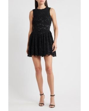 Likely Elisie Lace Fit & Flare Cocktail Dress - Black