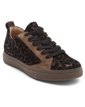 Paul Green Capri Sneaker - Brown
