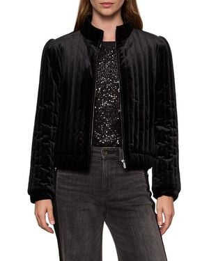 Sanctuary Quilted Velvet Jacket - Black