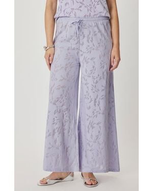 Splendid Air Burnout Drawstring Pants - Purple
