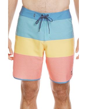 Quiksilver Surfsilk Tijuana Board Shorts - Multicolor