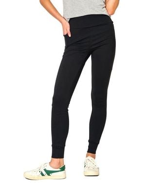 Gibsonlook Essential Soft Ponte Pants - Black