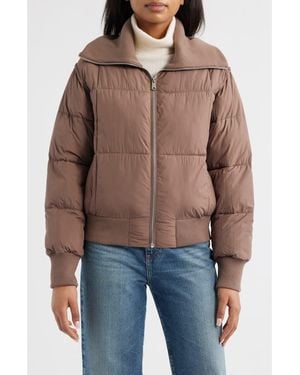 Bernardo Knit Collar Crop Puffer Jacket - Brown