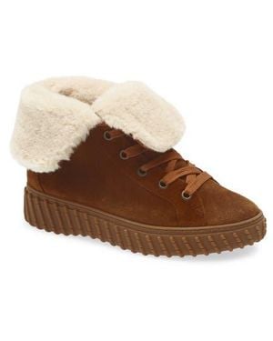 Paul Green Cozy Wool Lined Sneaker - Brown
