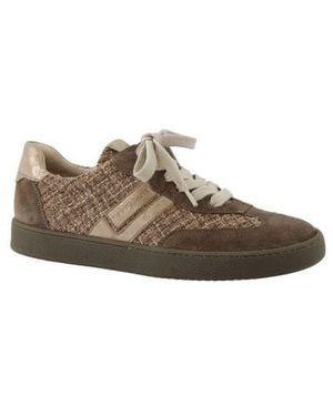 Paul Green Cruz Sneaker - Brown