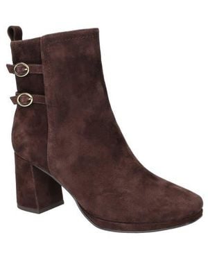 Bella Vita Orchard Moto Bootie - Brown