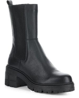 Bos. & Co. Brunas Waterproof Chelsea Boot - Black