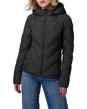 Bernardo Hooded Puffer Jacket With Bib - Black