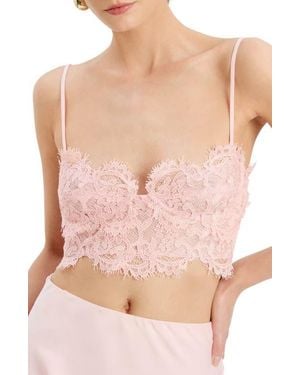 Bardot Linella Lace Bralette - Pink