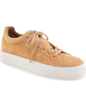 Aerosoles Bo Fashion Sneaker - Natural