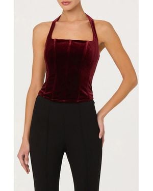 Astr Jacy Velvet Halter Top - Black