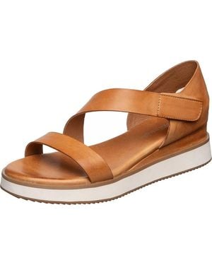 Antelope Clara Sandal - Brown