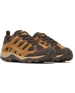 Merrell Accentor 4 Hiking Shoe - Brown