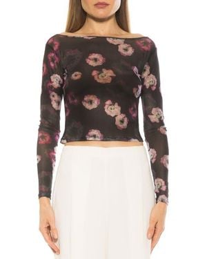 Alexia Admor Opal Sheer Mesh Top - Black