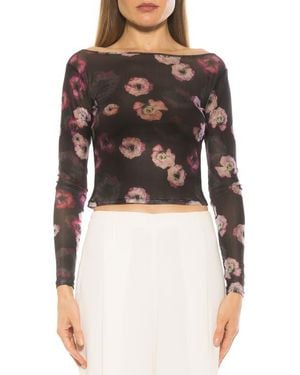 Alexia Admor Opal Sheer Mesh Top - Black