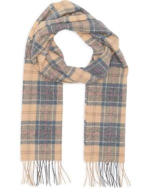 Barbour Tartan Lambswool Scarf - Multicolor