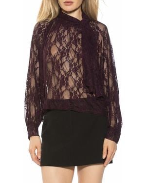 Alexia Admor Rae Lace Top With Neck Tie - Brown