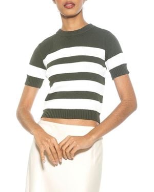 Alexia Admor Pat Stripe Short Sleeve Sweater Top - Gray